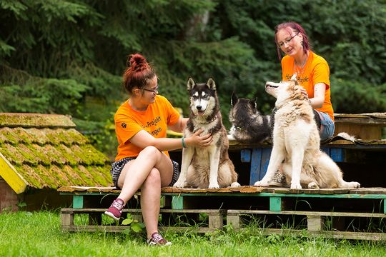 Zwei Mädchen in orangenen T-Shirts mit der Aufschrift „Huskyprojekt” sitzen mit drei Huskys auf einer verwitterten Holzpalette. Sie streicheln die Hunde, welche die Liebkosungen sichtlich genießen.